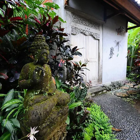 Villa Mimpi-2